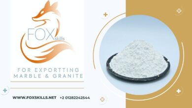 شركة فوكس سكيلز FoxSkills تفتح آفاق التوريد والتصدير للأسواق العالمية