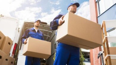 أرخص أماكن بيع كراتين فارغة بالإسكندرية